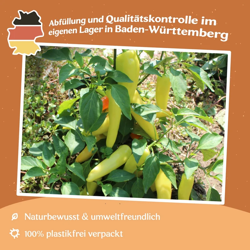 Paprika Hungarian Yellow Wax scharf Samen