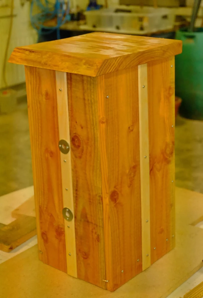 Hornissenkasten aus Douglasienholz