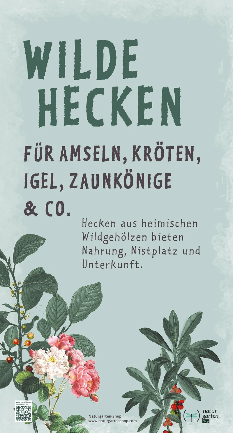 Metall-Schild "Wilde Hecke"