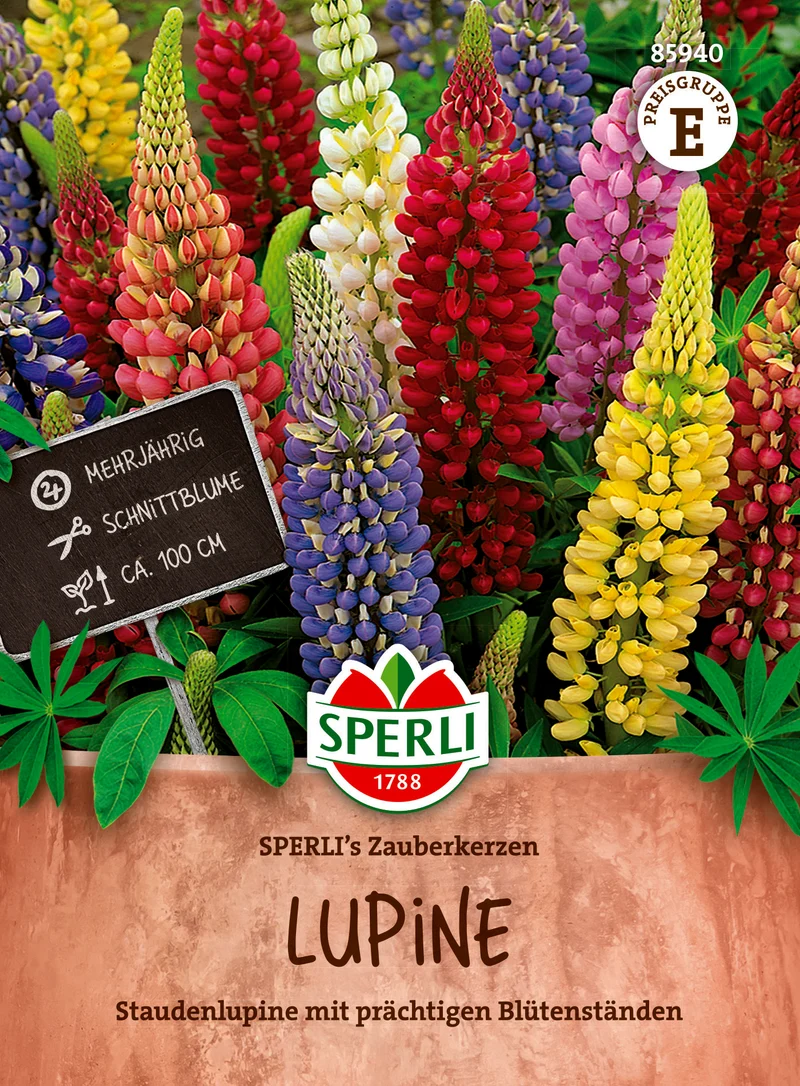Lupine Zauberkerzen Saatgut