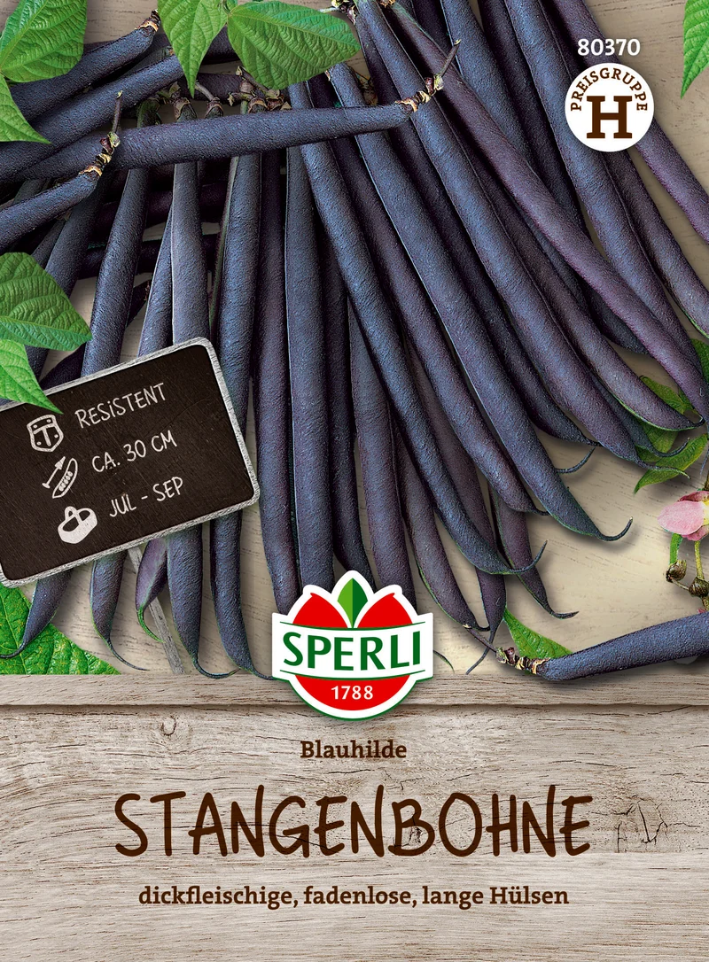 Stangenbohne Blauhilde Saatgut
