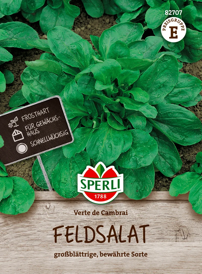 Feldsalat Verte de Cambrai Saatgut