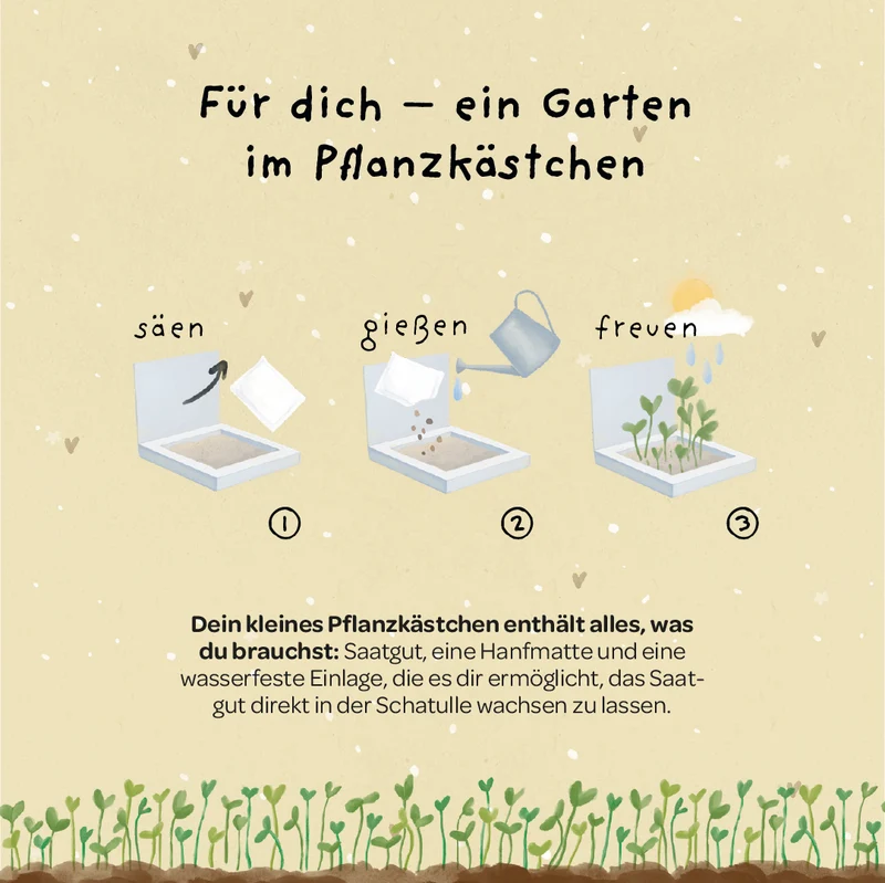 Pflanzkästchen - Unentbeerlich