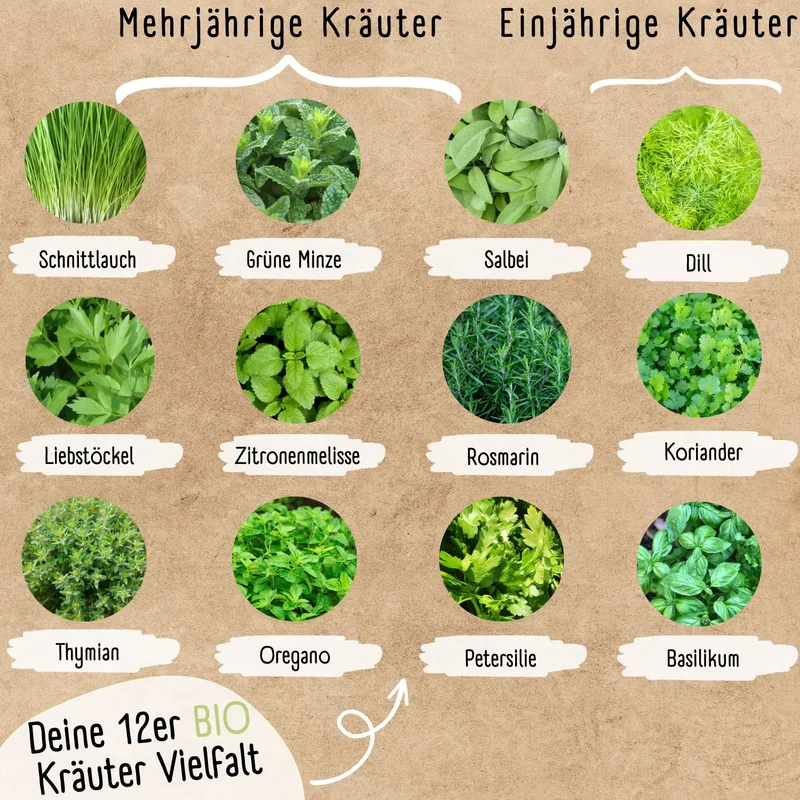 Kräutergarten Starter Set