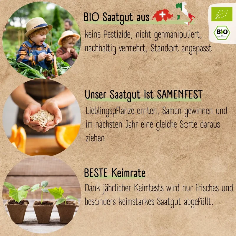 Gemüsewunder Starter-Set