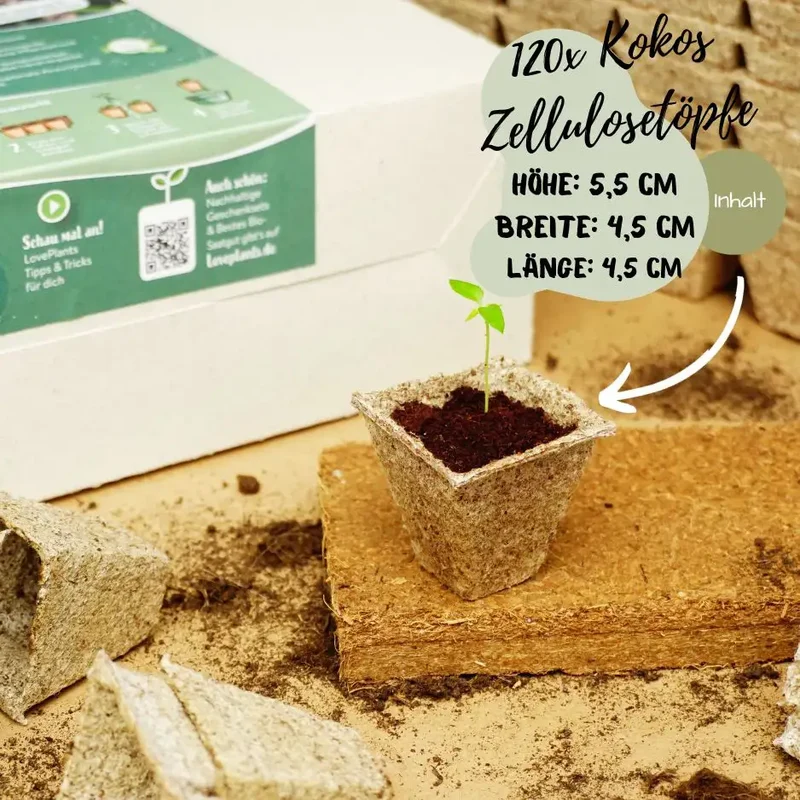 Gemüsewunder Starter-Set