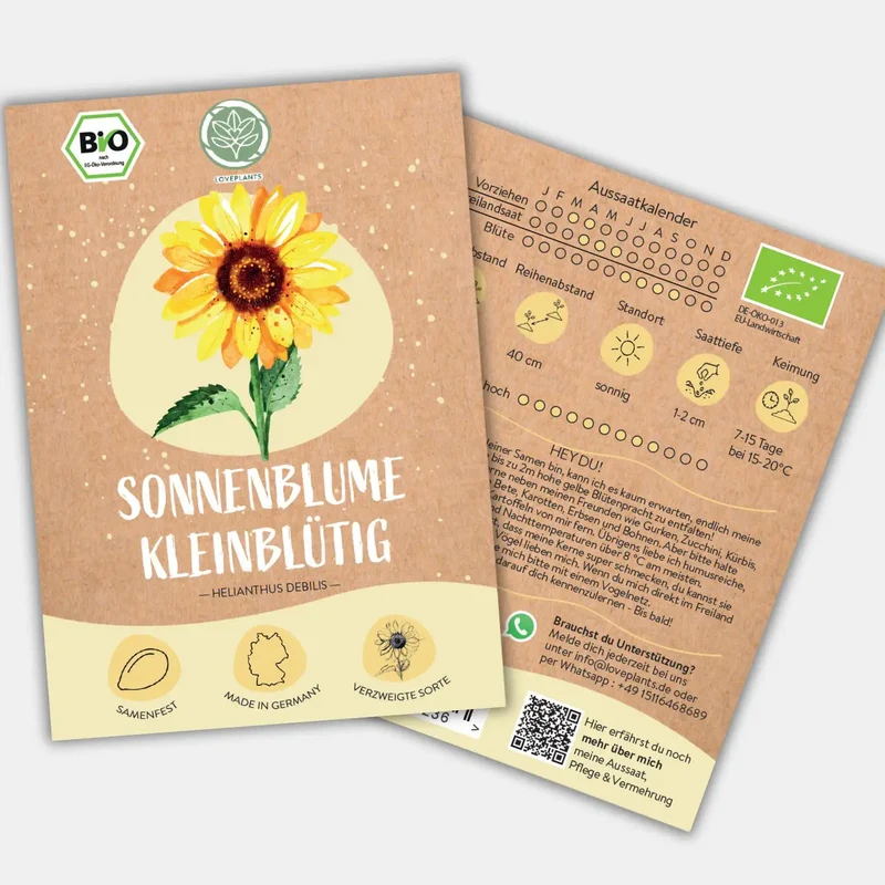 Bio kleinblütige Sonnenblumen Samen