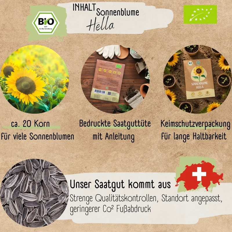 Bio Sonnenblume Hella Samen