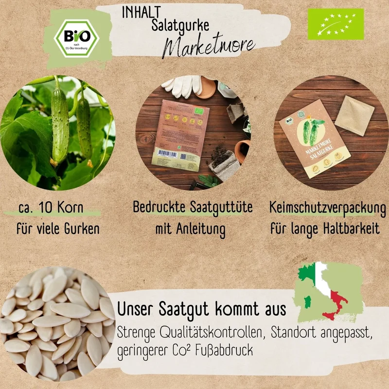 Bio Salatgurke Marketmore Samen