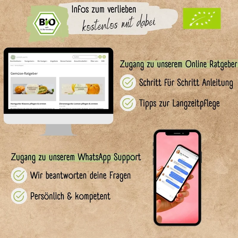 Bio Salatgurke Marketmore Samen