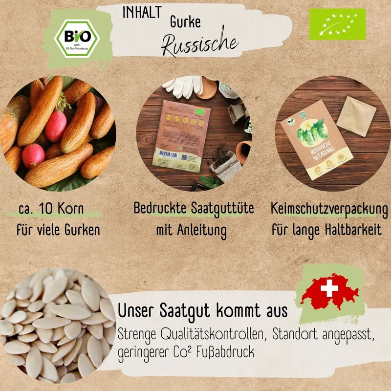 Bio Russische Gurke Samen