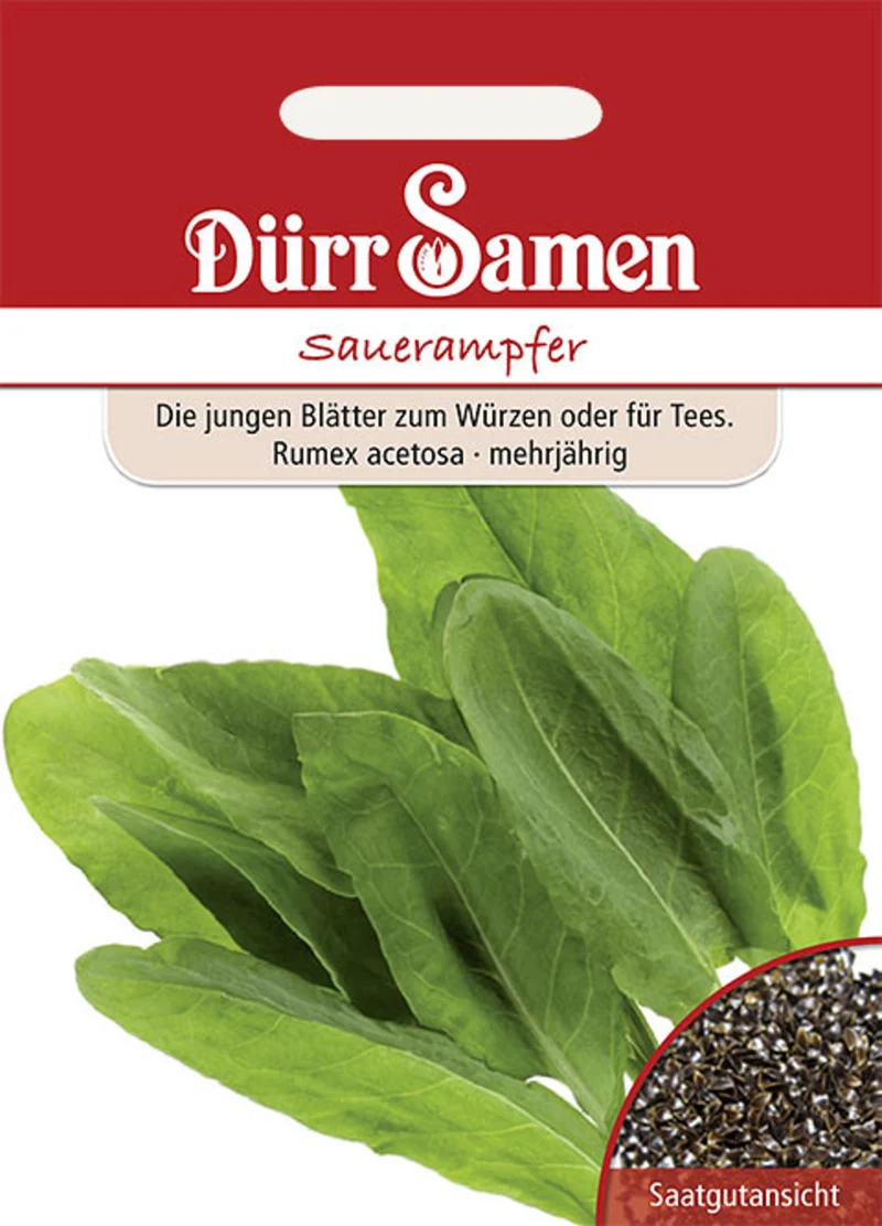 Sauerampfer Saatgut