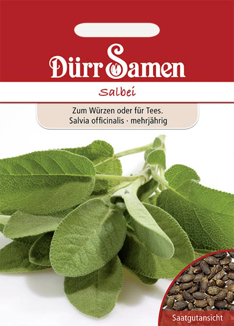 Salbei Saatgut