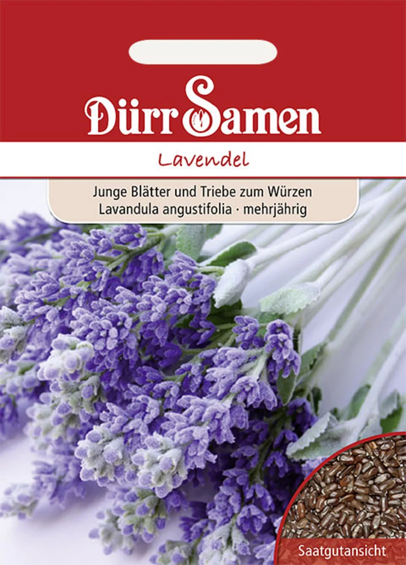 Lavendel Saatgut