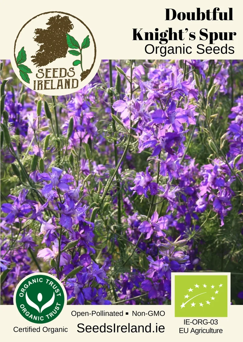 Doubtful Knight's Spur Organic Seed