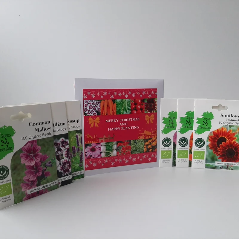 Christmas Gift Pack - Flower Seeds
