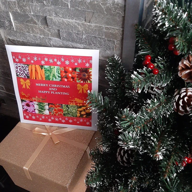 Christmas Gift Pack - Vegetable & Flower Seeds