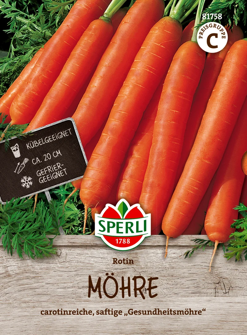 Möhre Rotin Saatgut