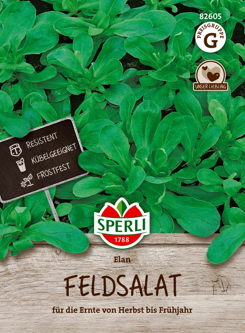 Feldsalat Elan Saatgut