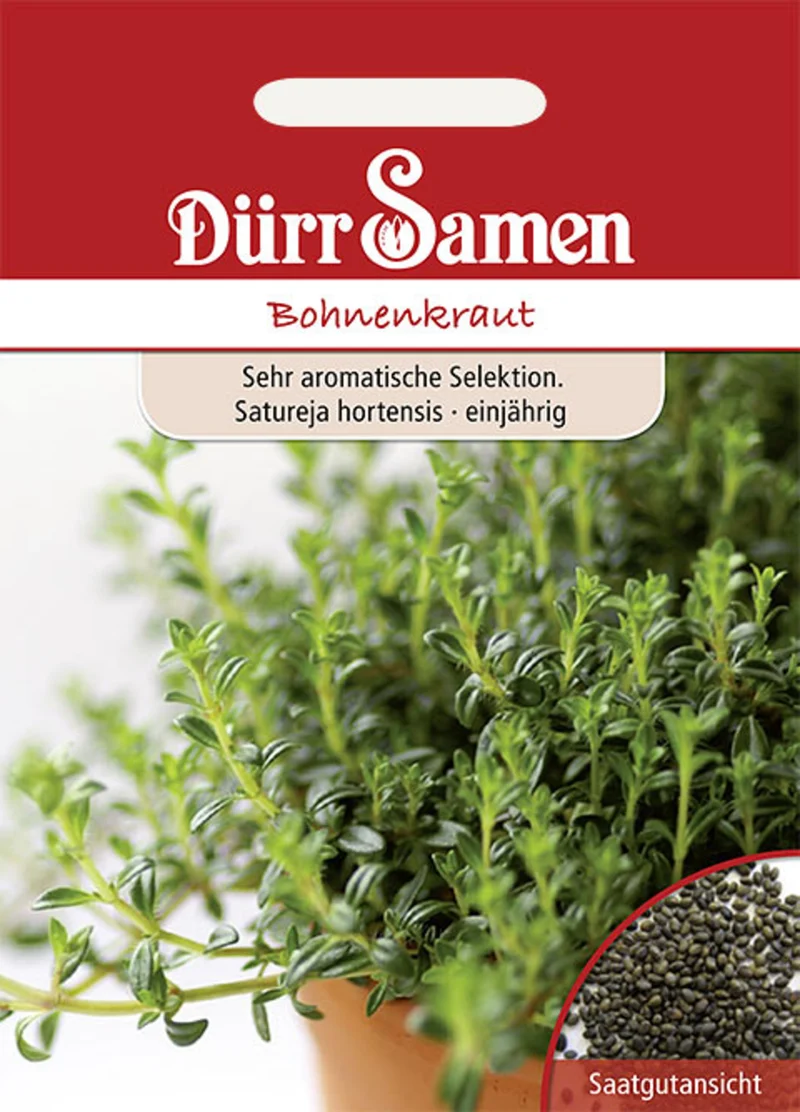 Bohnenkraut Saatgut
