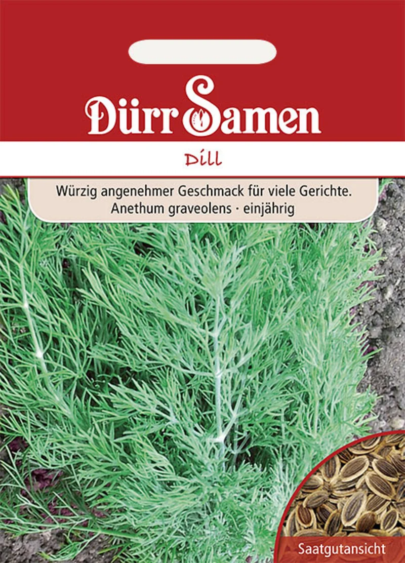 Dill blattreicher Saatgut