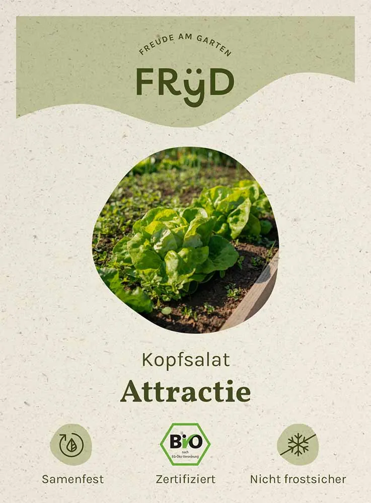 Fryd BIO Kopfsalat Attractie