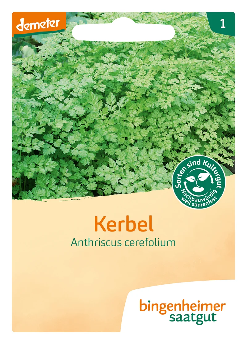 Kerbel | BIO Kerbelsamen von Bingenheimer Saatgut