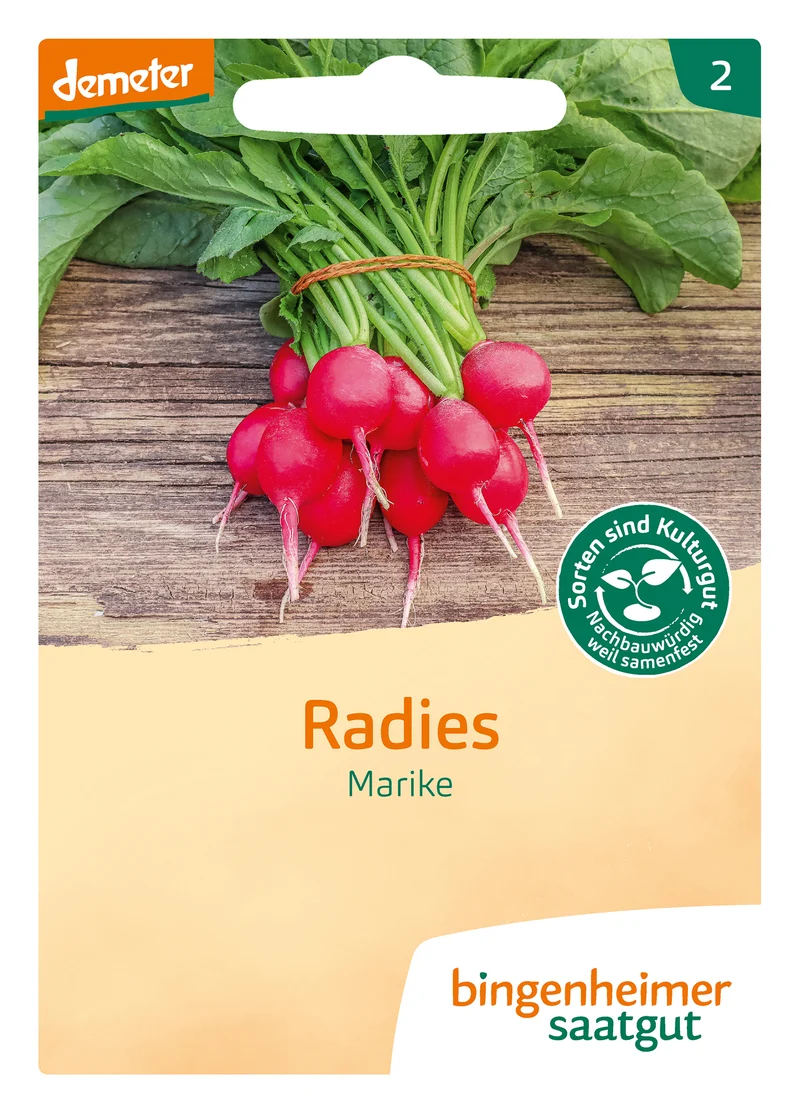 Radies Marike | BIO Radieschensamen von Bingenheimer Saatgut