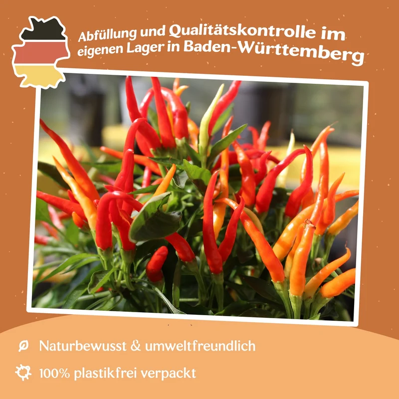 Chili Poupila Samen