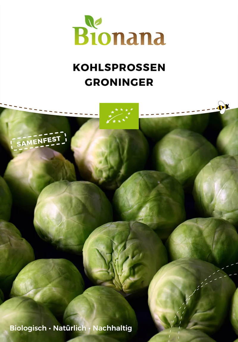 Kohlsprossen Groninger | BIO Kohlsamen von Bionana [MHD 12/2025]