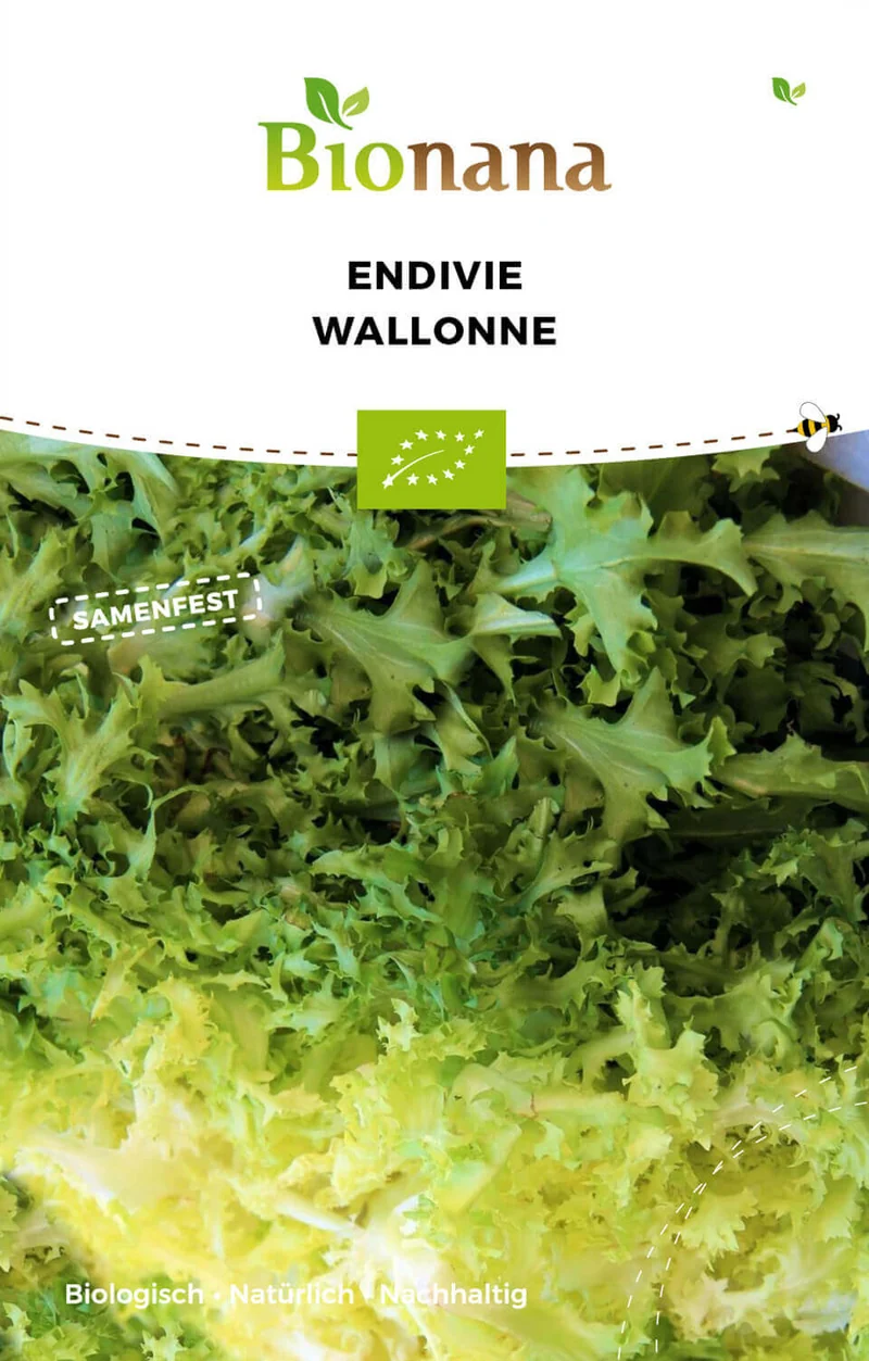 Endivie Wallonne | BIO Endiviensalatsamen von Bionana [MHD 12/2023]