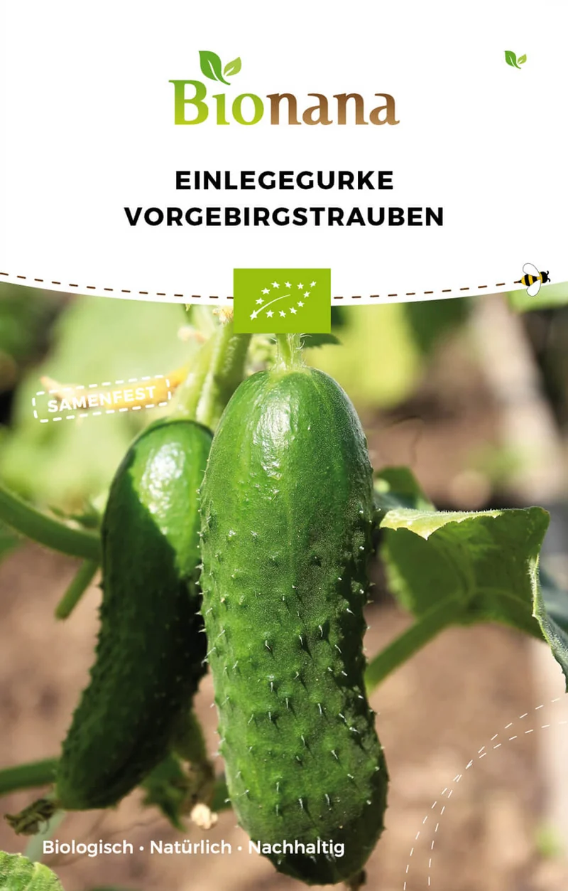 Einlegegurke Vorgebirgstrauben | BIO Einlegegurkensamen von Bionana [MHD 12/2023]