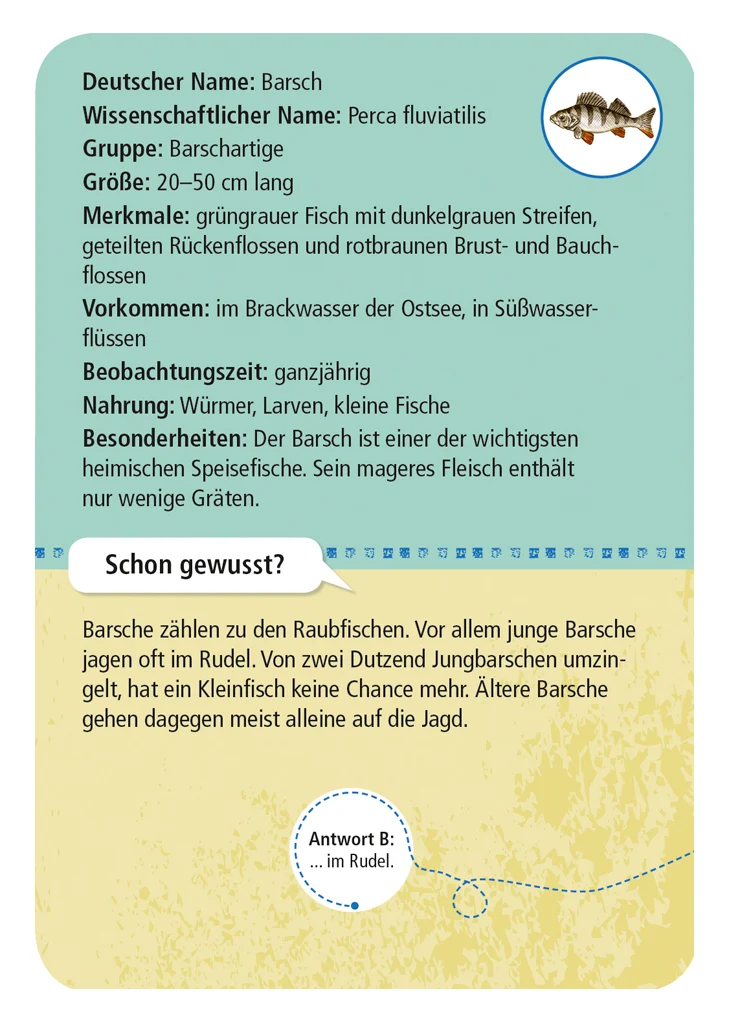 Expedition Natur - 50 heimische Strandtiere & Pflanzen