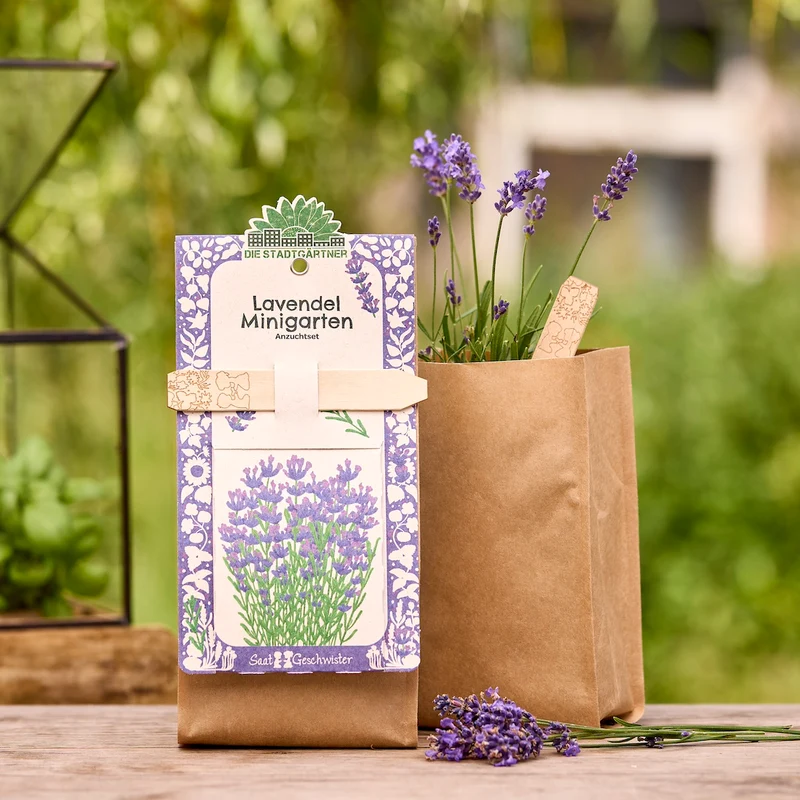 Anzuchtset – Minigarten BIO-Lavendel
