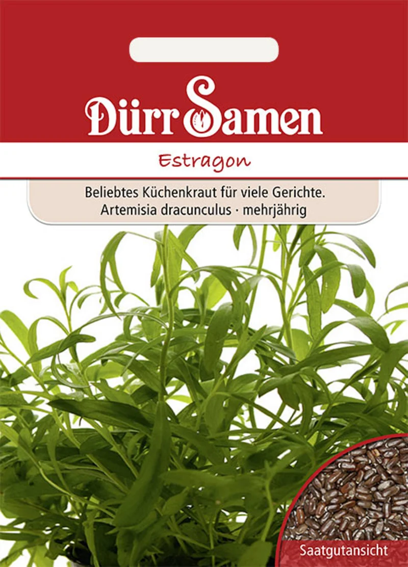 Estragon Saatgut