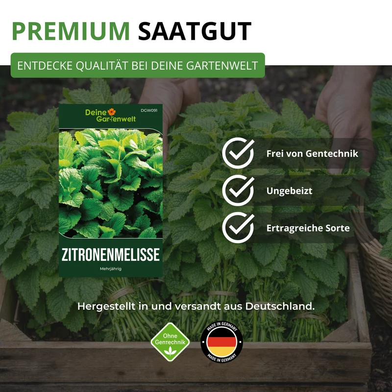 Zitronenmelisse Saatgut