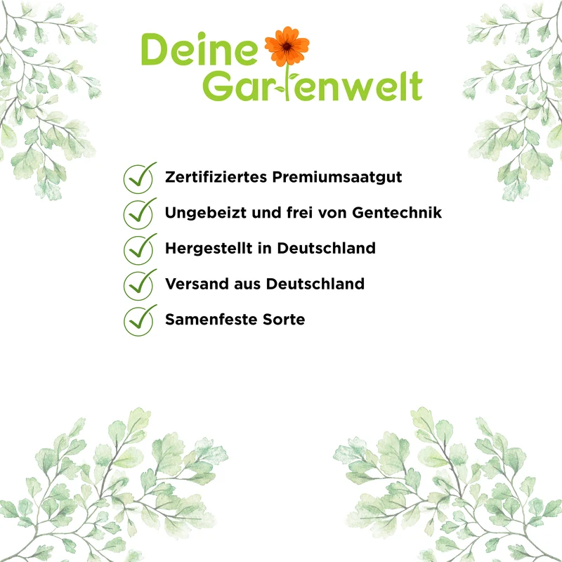 Zitronengras Saatgut
