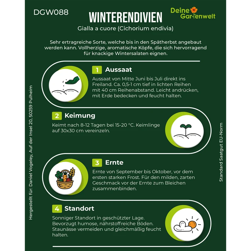 Winterendivien Gialla a cuore Saatgut