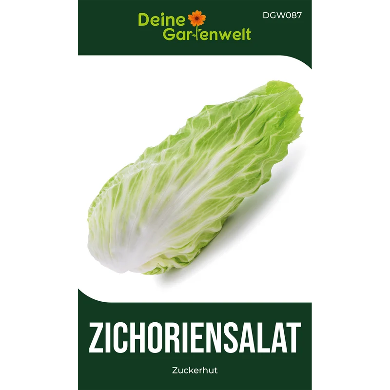 Zichoriensalat Zuckerhut Saatgut