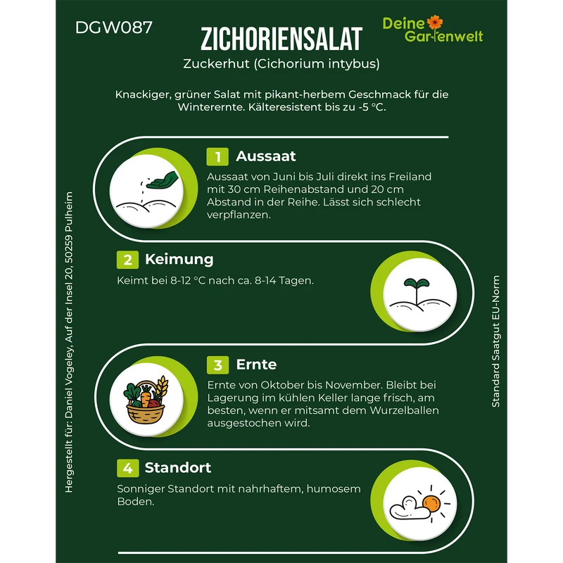 Zichoriensalat Zuckerhut Saatgut