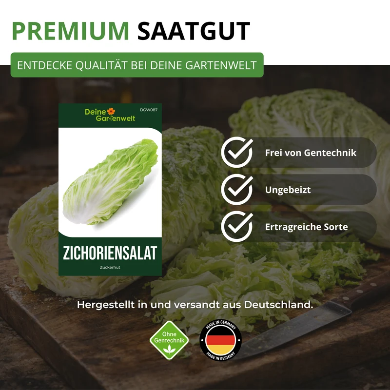 Zichoriensalat Zuckerhut Saatgut
