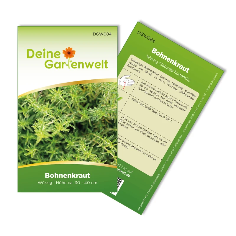 Bohnenkraut Saatgut