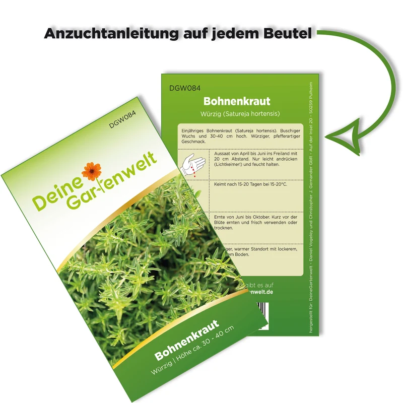 Bohnenkraut Saatgut