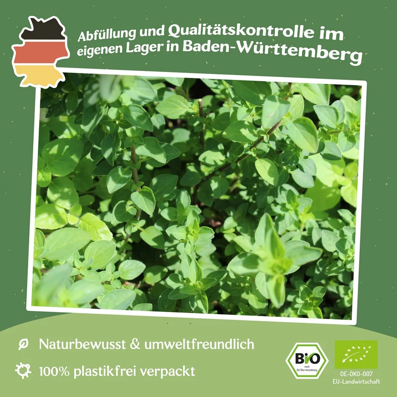MHD 06/26 Bio-Oregano Samen