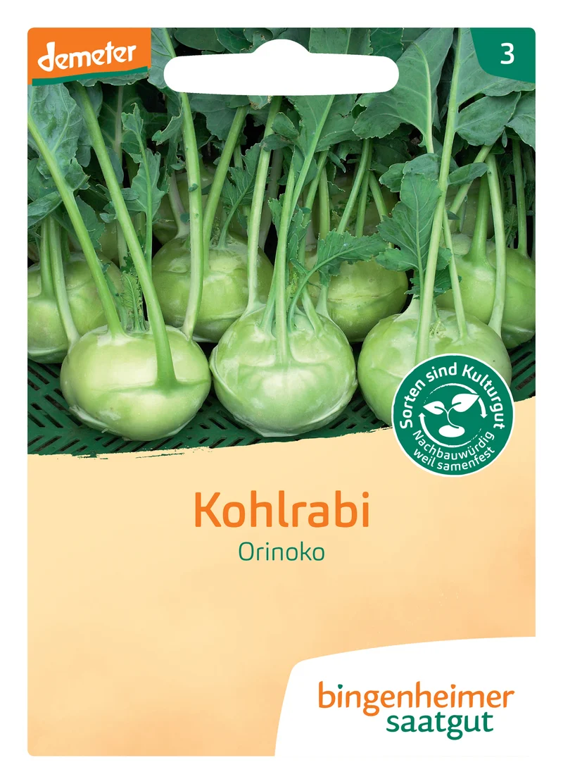 Kohlrabi Orinoko | BIO Kohlrabisamen von Bingenheimer Saatgut