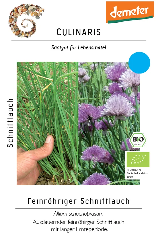 Schnittlauch Bellarisa | BIO Schnittlauchsamen von Culinaris [MHD 01/2025]