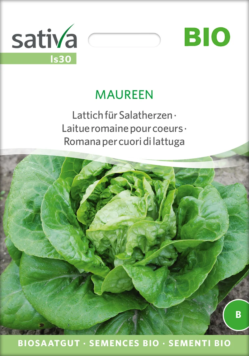 Lattich für Salatherzen Maureen | BIO Salatsamen von Sativa Rheinau [MHD 12/2024]