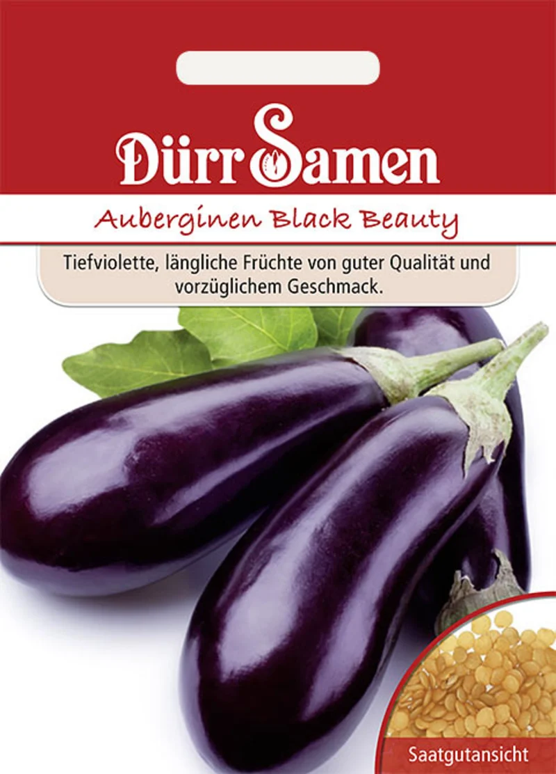 Aubergine Black Beauty Saatgut