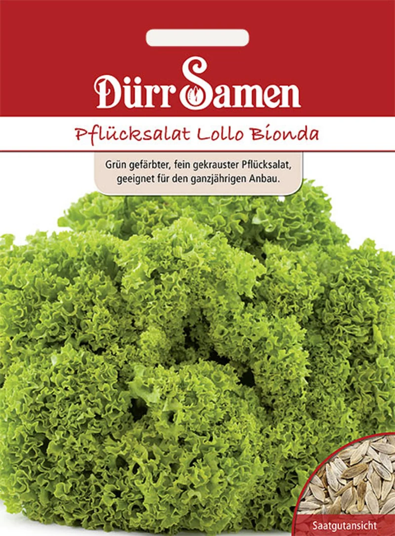 Pflücksalat Lollo Bionda Saatgut
