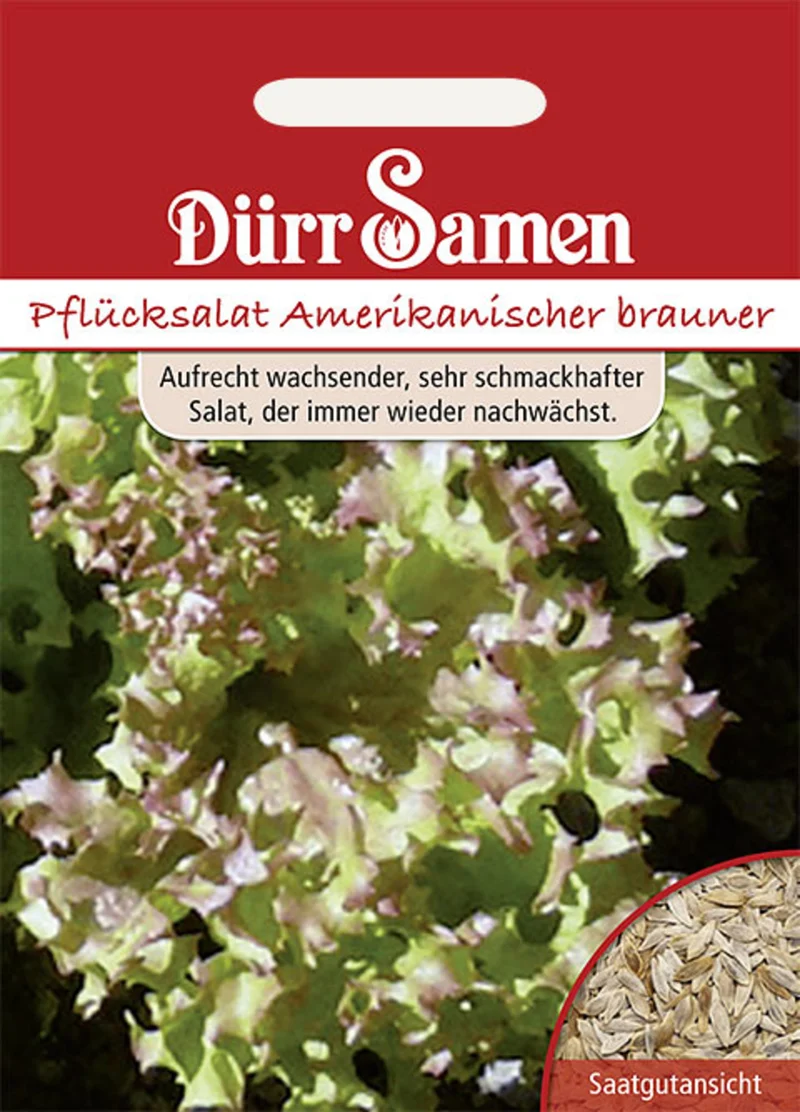 Pflücksalat Amerikanischer Brauner Saatgut